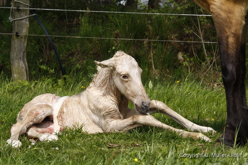 Hjoerdis 11 Min alt (7).JPG